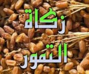 بر السليل توزع زكاة التمور ل (1150) أسرة